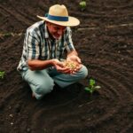 Cómo sembrar remolacha en tu huerta