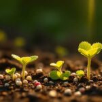 ¿Cuánto tardan en germinar las fresas?