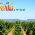 Venta de árboles frutales online baratos