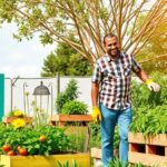 Huerto palets paso a paso: guía práctica