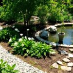 Cosas blancas en la tierra de las plantas: causas y soluciones